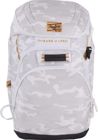 Rawlings equipment bag